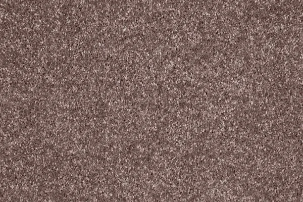 Ковровое покрытие AW Gala 60 - (5м) в Тюмени