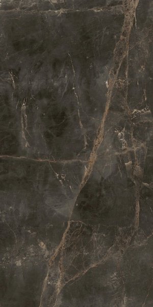 Керамогранит Coliseum Канова Дарк 60х120 (Натуральный и Реттифицированный) в #REGION_NAME_DECLINE_PP#