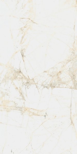 Керамогранит Coliseum Канова Уайт 60х120 (Натуральный и Реттифицированный) в #REGION_NAME_DECLINE_PP#