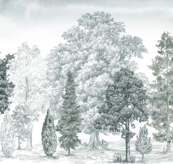 ART14 011 (вблизи)